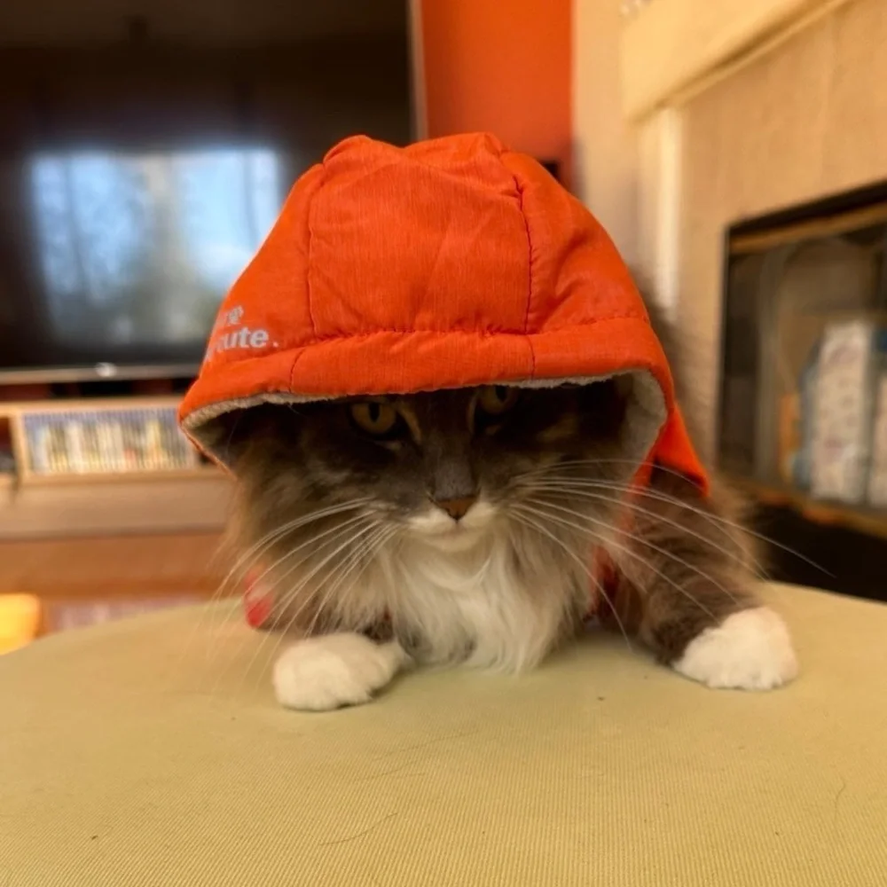 Orange Hooded Pet Jacket with Blue Text